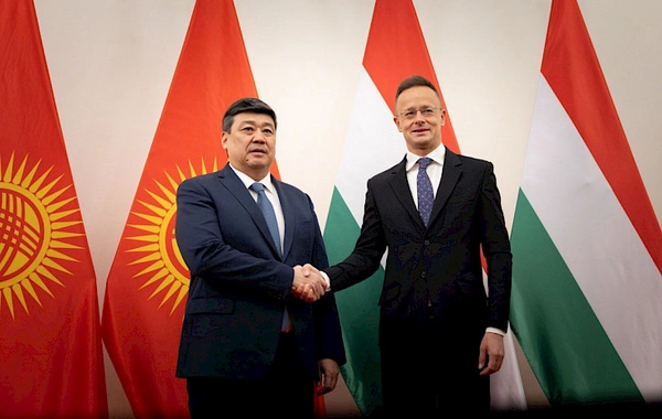 Kyrgyzstan, Hungary Agree on Additional Capitalization of Joint Fund