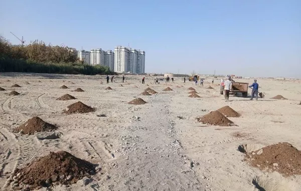 UNESCO Park in Uzbekistan's Samarkand Set to Transform City into Eco-Cultural Haven