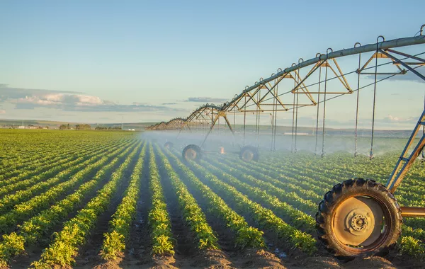 Kyrgyzstan Expands Crop Production