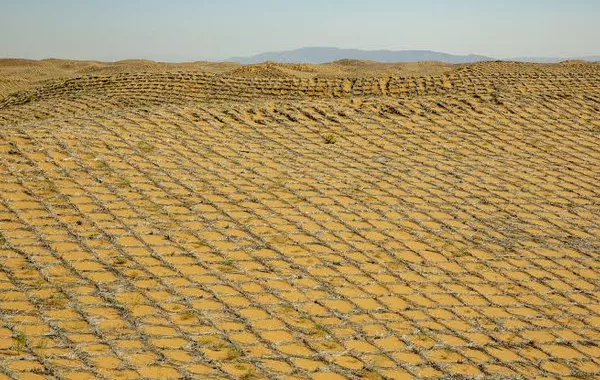 China, Uzbekistan Strengthen Fight Against Desertification