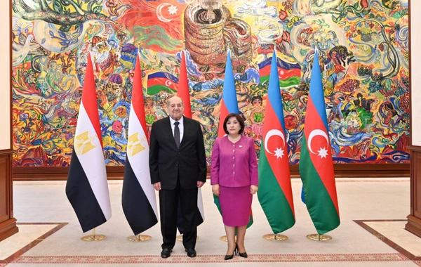Azerbaijan and Egypt Discuss Strengthening Interparliamentary Cooperation