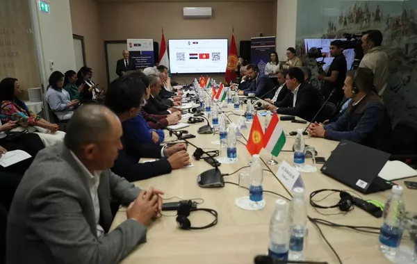 Hungarian Firms Ready to Partner with Kyrgyzstan on HPP Construction