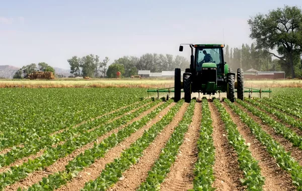 Ferghana Farmers Push Back Against Reported Land Leases to China