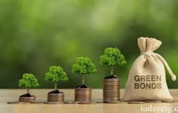 PwC Sees Untapped Potential for Green Bonds in Central Asia and Azerbaijan