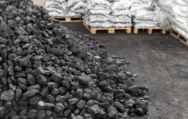 Kyrgyzstan Bans Use of Powder-Like Coal to Improve Air Quality in Bishkek