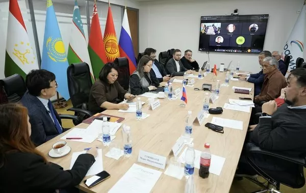 Experts Mull Central Asian Security within CSTO