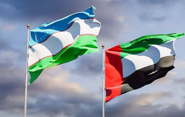 Uzbekistan, UAE Discuss Upcoming Joint Events