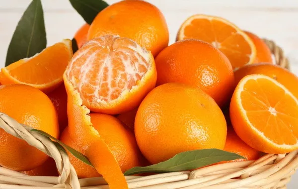 Uzbekistan Brings In Citrus Wave With 17,400 Tons of Oranges