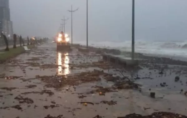 Strong Winds Damage Georgia's Batumi