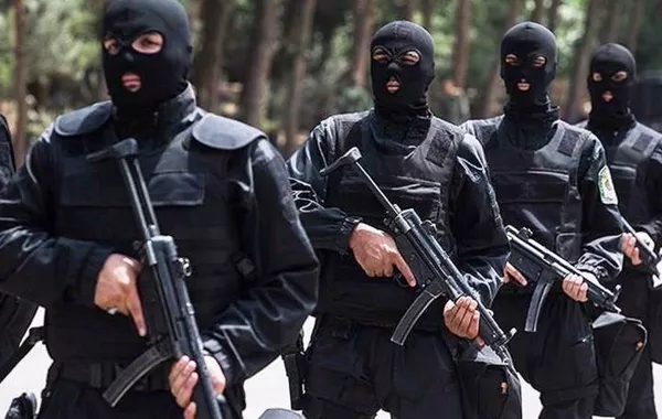 IRGC Arrests Nearly 240 People in Western Iran Operations