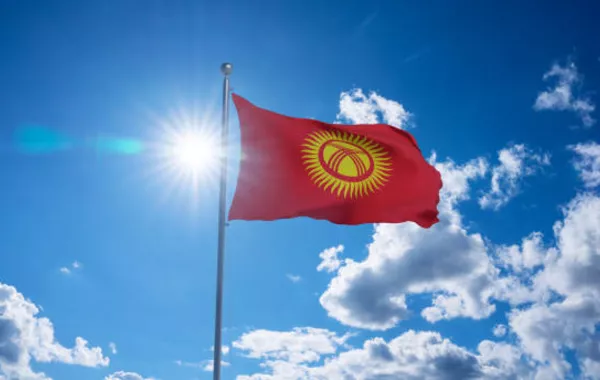 Kyrgyzstan Names Key Driver of Tax Reforms