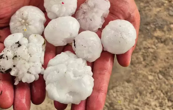 Egg-Sized Hail Devastates Crops in Armenian Villages, Leaving Farmers Reeling