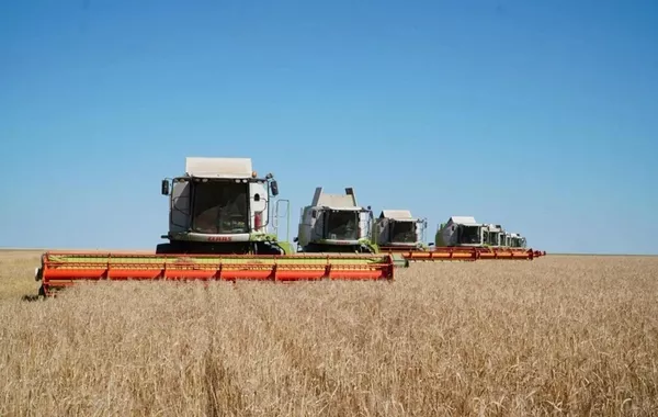 Kazakhstan's Akmola Records Historic 7.6 Million-Ton Grain Harvest, Boosting Export Potential
