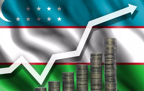 Which Sectors Draw the Most Investment in Uzbekistan?