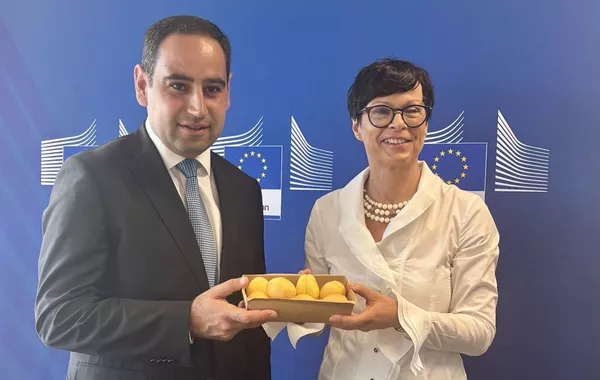 Armenian Apricots Reach EU Market as Russia Tightens Import Restrictions