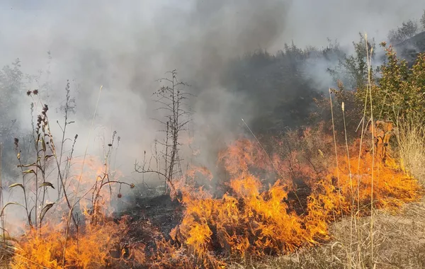 Azerbaijan Sends Helicopter to Fight Forest Fire in Aghdara