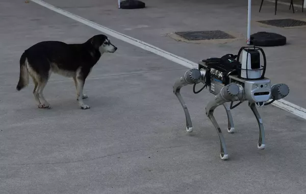 Türkiye Develops ‘Robot Dog’ Set to Join Military Inventory by Early 2026
