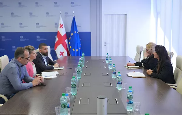 Georgia and ADB Explore New Energy and Infrastructure Development Projects