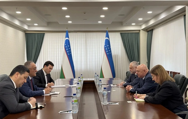 Uzbekistan and Poland Discuss Cooperation on Afghanistan Affairs