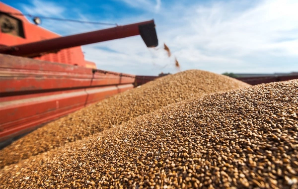 Azerbaijan Boosts Grain Exports from Kazakhstan