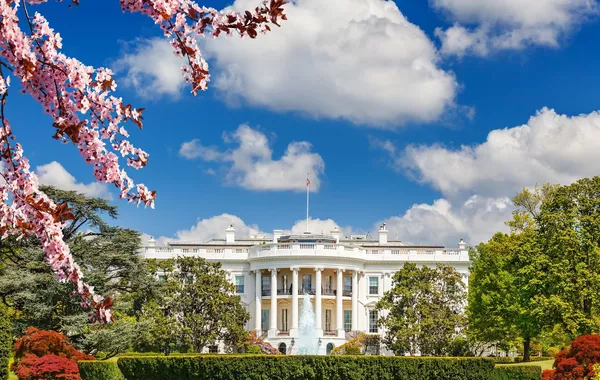 White House Shares Video of Trump Welcoming Azerbaijani President