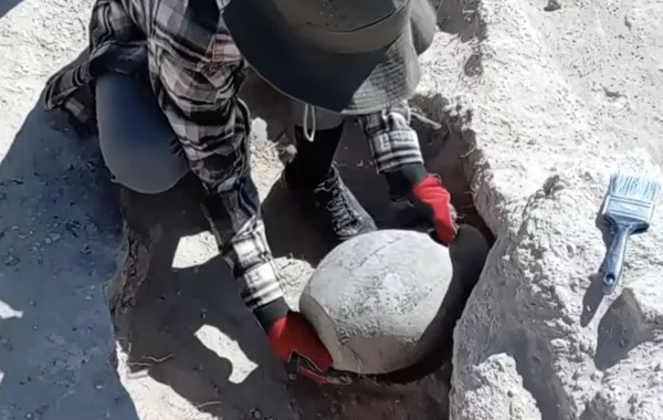 Archaeologists Discover 1,400-Year-Old Jug in Kazakhstan’s Settlement
