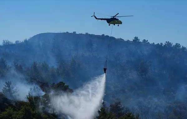 Over 75 Nations Unite in Istanbul to Tackle Forest Fires with Technology