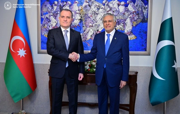 Azerbaijan's FM Discusses Rising Regional Tensions with Pakistani Counterpart