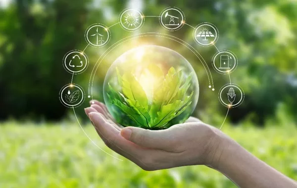 COP31: Türkiye's green transformation and climate economics