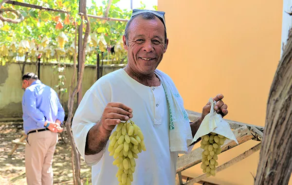 Uzum Sayli Festival Set to Boost Tourism and Viticulture in Uzbekistan’s Tashkent