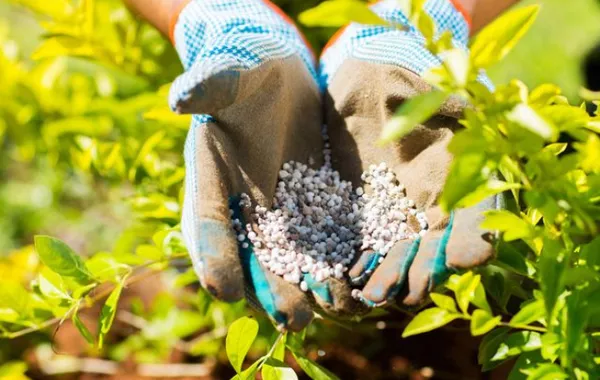 Deputy PM: Russia to Boost Food and Fertilizer Supplies to Turkmenistan