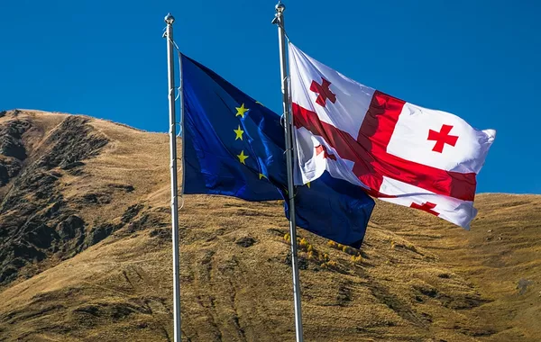 Georgia Between Brussels and Domestic Reality