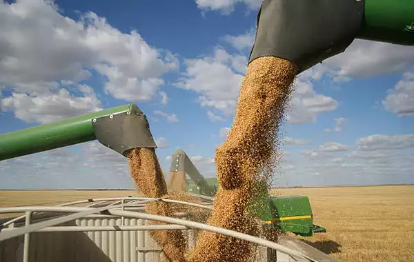 Kazakhstan Sees Growth in Grain Exports, Uzbekistan Tops Import List