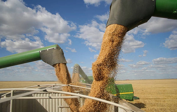 Russia Lifts Restrictions on Agricultural Imports from Kazakhstan