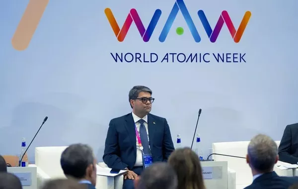 Uzbekistan to Launch Public Hearings on Nuclear Plant Project