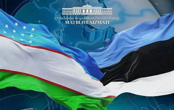 Uzbekistan, Estonia Strengthen Digital Cooperation in Education and Governance