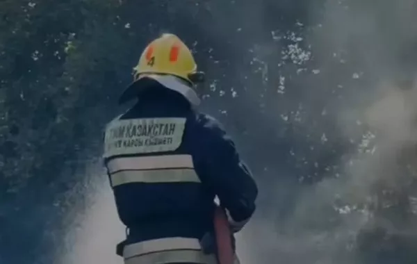 Blaze Erupts in Kazakhstan's Almaty Workshop, Firefighters Quickly Contain Flames