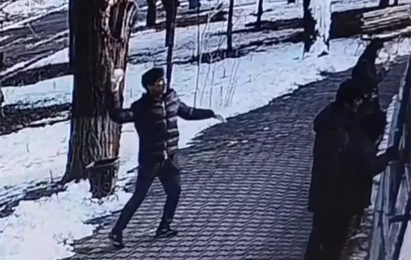 Tashkent Zoo Warns Visitors After Snowball Attack on Tigers