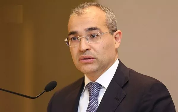 Minister: Italy is Azerbaijan's Main Trade and Economic Partner