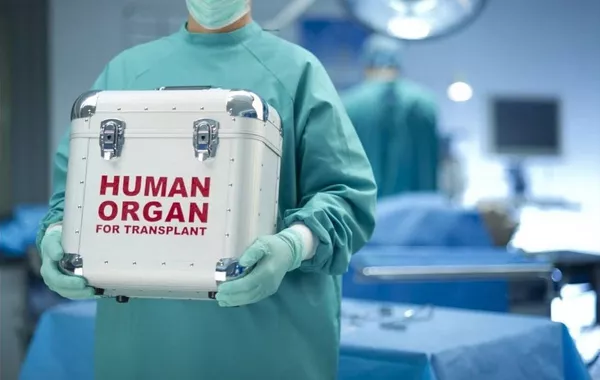 Uzbekistan Opens Door for Private Sector in Organ Transplant Surgery