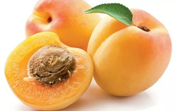 Armenia Opens New Export Route as Apricots Head to Singapore - VIDEO