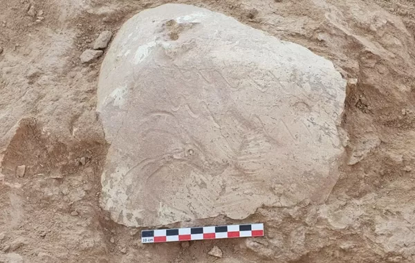 Archaeologists Discover Ancient Altar and Unique Ossuary in Uzbekistan