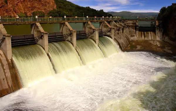 Dams Pose Threat to Central Asia's Rare Fish and River Ecosystems