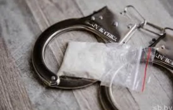 Anti-Drug Raid in Kyrgyzstan Uncovers Large Psychotropic Cache - VIDEO