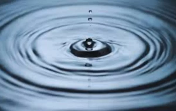 Kazakhstan Cracks Down on Water Black Market in Farming