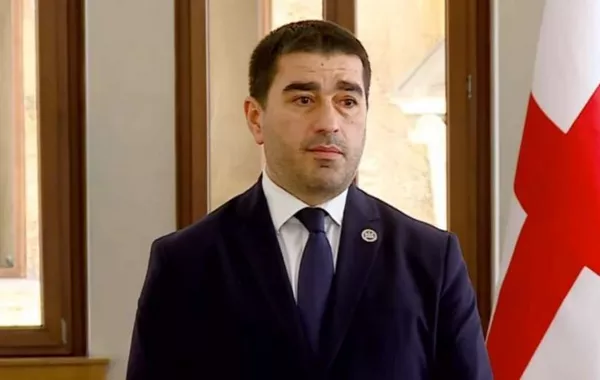 Georgia’s Parliament Speaker Warns of Rising Foreign Meddling
