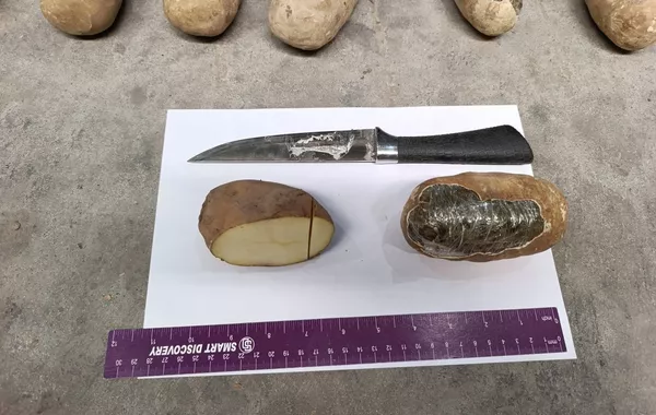 Uzbekistan Foils Hashish Smuggling Hidden in Potato Truck