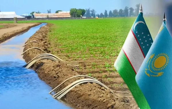 Kazakhstan, Uzbekistan in Talks Over New Water Distribution Deal