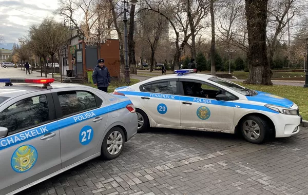Woman Detained After Stoning Patrol Car in Kazakhstan's Almaty