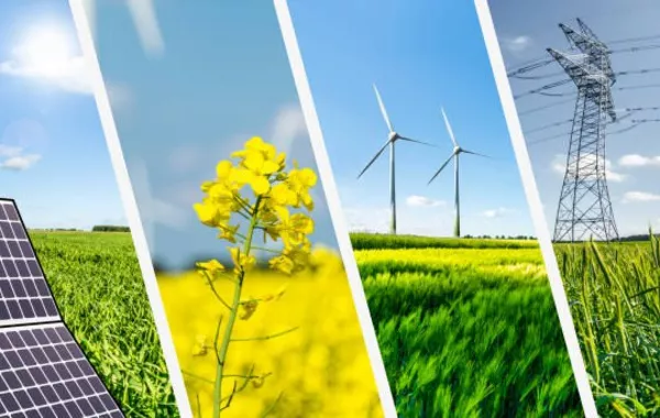 Uzbekistan, China Deepen Renewable Energy Collaboration